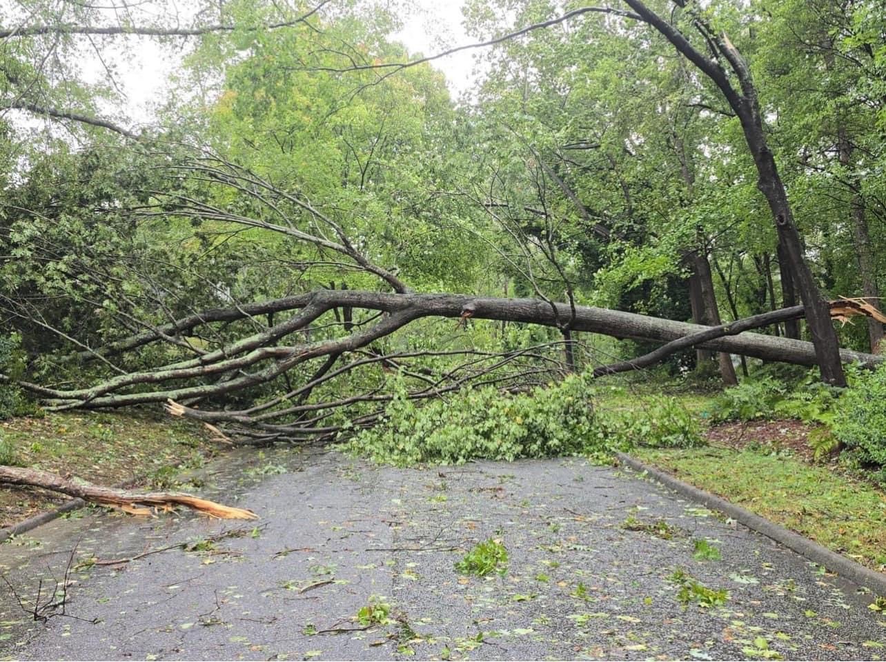 Recovery from Helene in the Midlands and Lowcountry