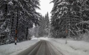 Empty road between trees in winter weather