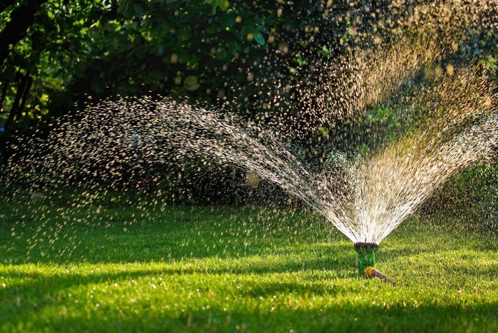 Simple tips to conserve water during summers
