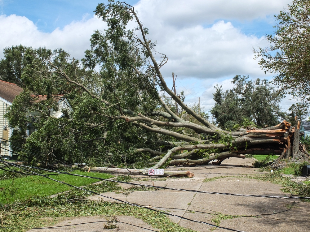 Jefferson,,Louisianau.s.a., ,August, ,, :,Storm,Damage,From,Hurricane